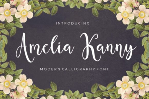 Amelia Kanny: The Font That Elevates Your Brand