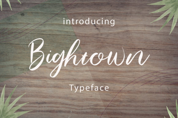 Bightown: A Handwritten Font for Editorial Elegance