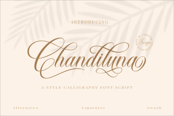 Chandiluna: A Delicate Handwritten Font for Creative Branding