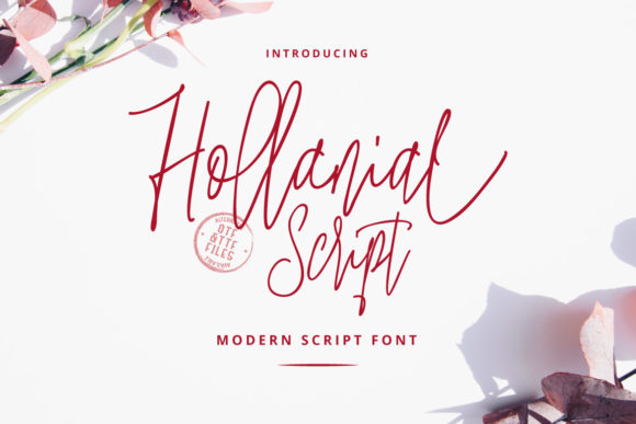 Hollanial: A Modern Script Font for Creative Branding