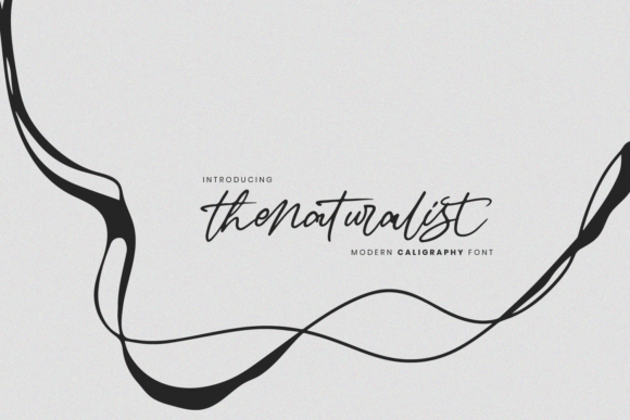The Naturalist: A Versatile Font for Digital Design