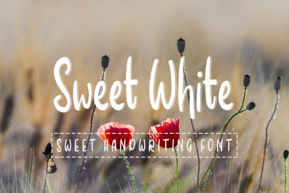 Transform Your Brand with Sweet White